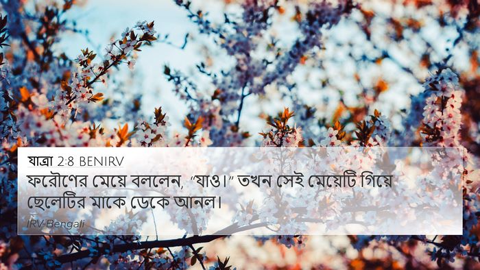 যাত্ৰা 2:8 BENIRV 4K Wallpaper - ফরৌণের মেয়ে - 4K Wallpaper Bible Verse