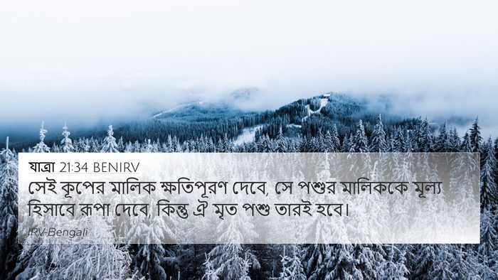 যাত্ৰা 21:34 BENIRV Bible Verse Image