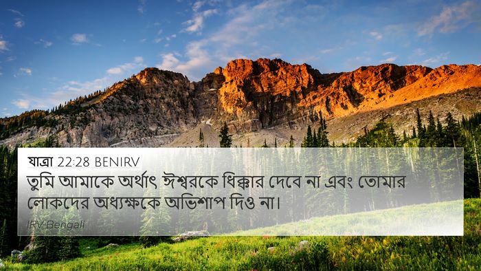 যাত্ৰা 22:28 BENIRV Bible Verse Image