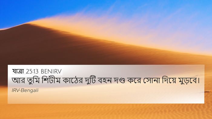যাত্ৰা 25:13 BENIRV Bible Verse Image