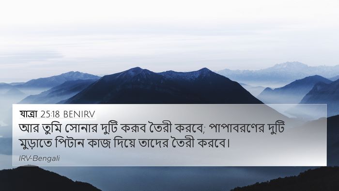 যাত্ৰা 25:18 BENIRV Bible Verse Image