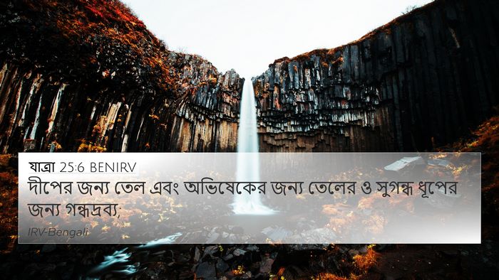 যাত্ৰা 25:6 BENIRV Bible Verse Image