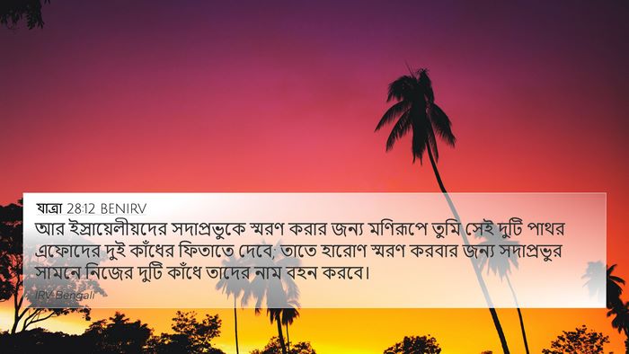 যাত্ৰা 28:12 BENIRV Bible Verse Image