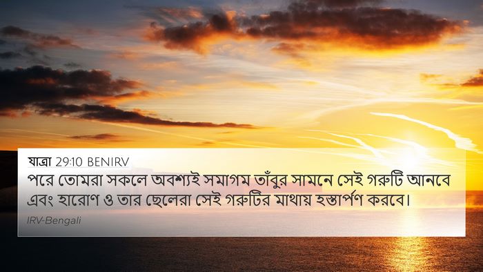 যাত্ৰা 29:10 BENIRV Bible Verse Image