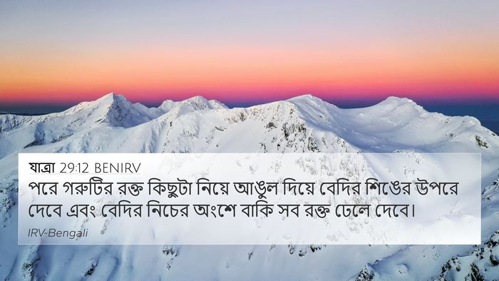 যাত্ৰা 29:12 BENIRV Bible Verse Image