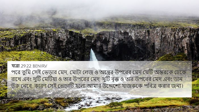 যাত্ৰা 29:22 BENIRV Bible Verse Image