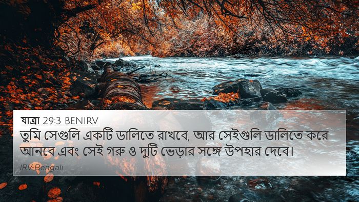 যাত্ৰা 29:3 BENIRV 4K Wallpaper - তুমি সেগুলি একটি - 4K Wallpaper Bible Verse