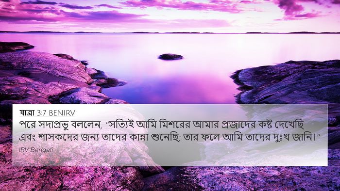 যাত্ৰা 3:7 BENIRV Bible Verse Image