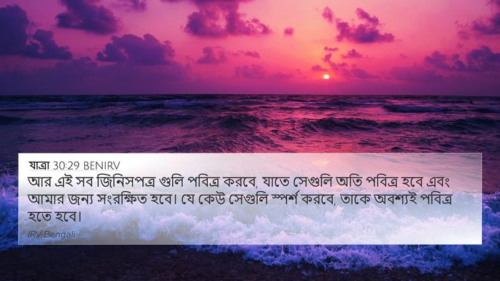 যাত্ৰা 30:29 BENIRV Bible Verse Image