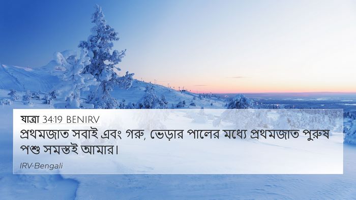 যাত্ৰা 34:19 BENIRV Bible Verse Image