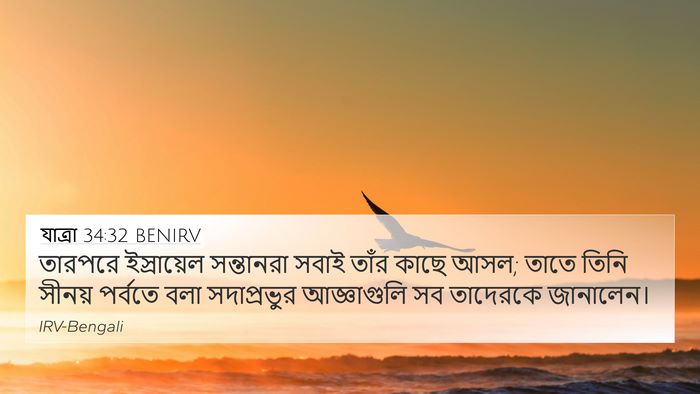যাত্ৰা 34:32 BENIRV 4K Wallpaper - তারপরে ইস্রায়েল - 4K Wallpaper Bible Verse