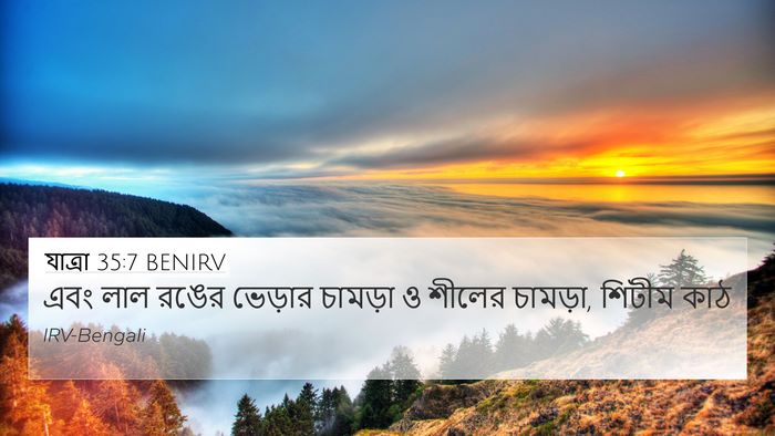 যাত্ৰা 35:7 BENIRV Bible Verse Image