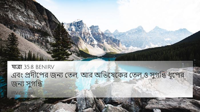 যাত্ৰা 35:8 BENIRV Bible Verse Image