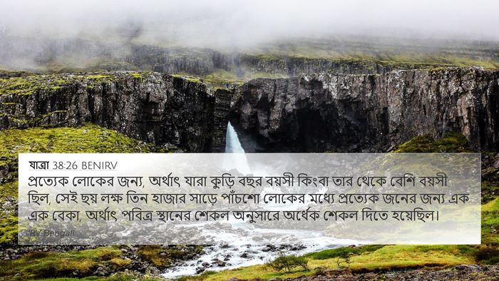 যাত্ৰা 38:26 BENIRV Bible Verse Image