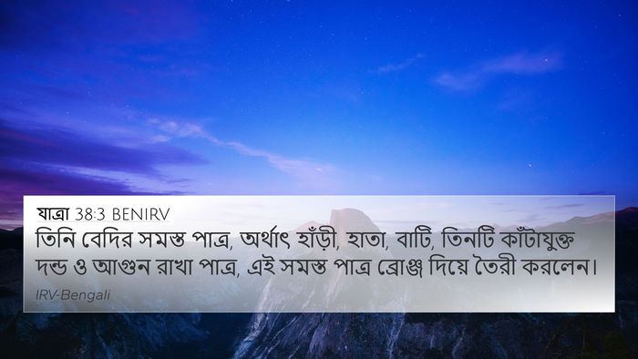 যাত্ৰা 38:3 BENIRV Bible Verse Image