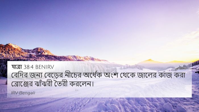 যাত্ৰা 38:4 BENIRV Bible Verse Image