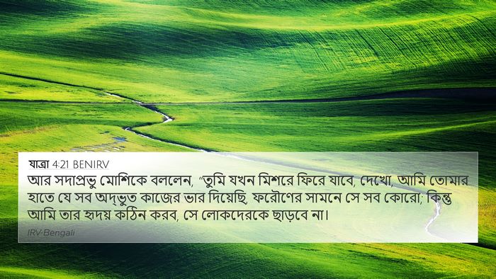 যাত্ৰা 4:21 BENIRV Bible Verse Image