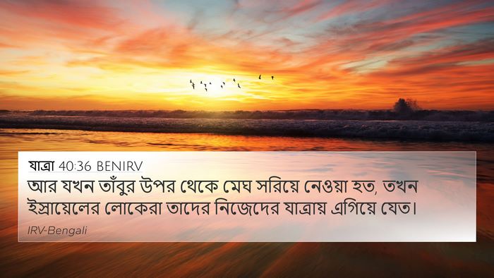 যাত্ৰা 40:36 BENIRV Bible Verse Image