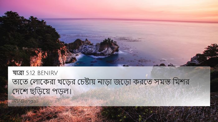 যাত্ৰা 5:12 BENIRV 4K Wallpaper - তাতে লোকেরা খড়ের - 4K Wallpaper Bible Verse