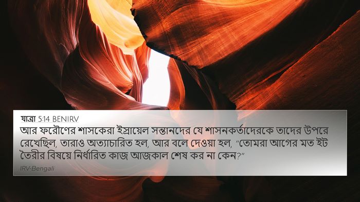 যাত্ৰা 5:14 BENIRV Bible Verse Image