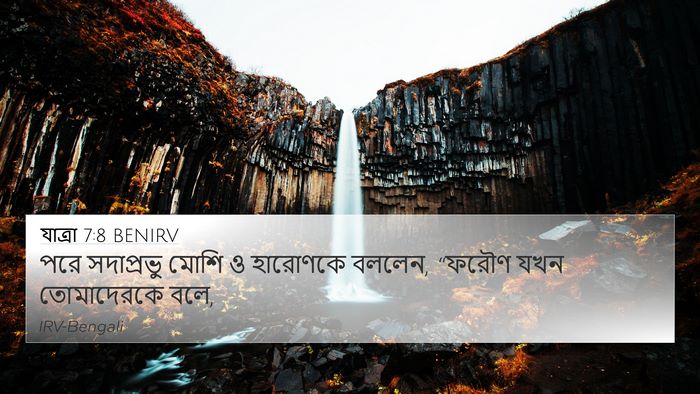 যাত্ৰা 7:8 BENIRV 4K Wallpaper - পরে সদাপ্রভু মোশি - 4K Wallpaper Bible Verse