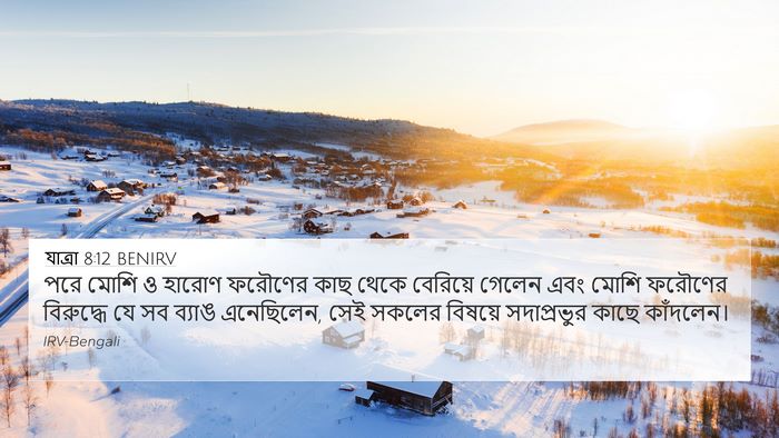 যাত্ৰা 8:12 BENIRV 4K Wallpaper - পরে মোশি ও হারোণ - 4K Wallpaper Bible Verse