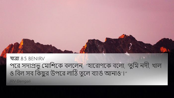 যাত্ৰা 8:5 BENIRV Bible Verse Image