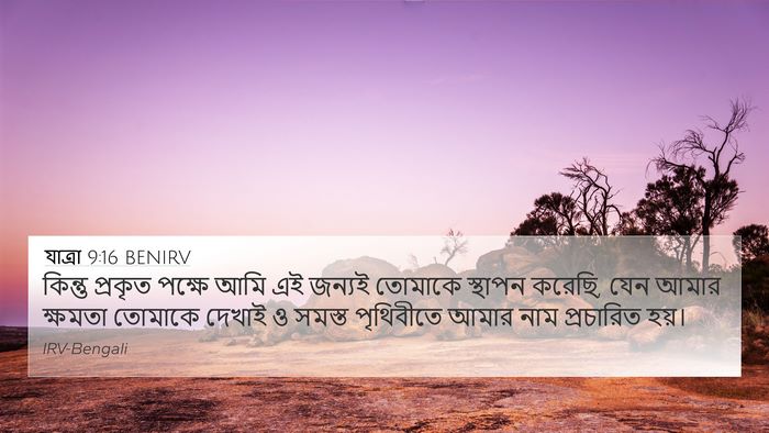যাত্ৰা 9:16 BENIRV Bible Verse Image