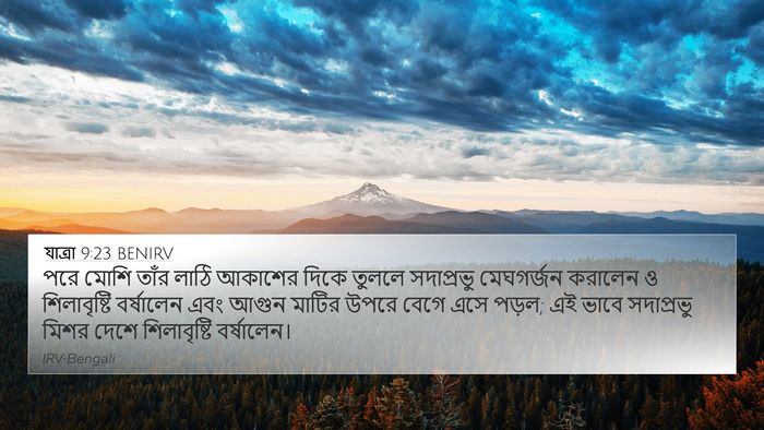 যাত্ৰা 9:23 BENIRV Bible Verse Image