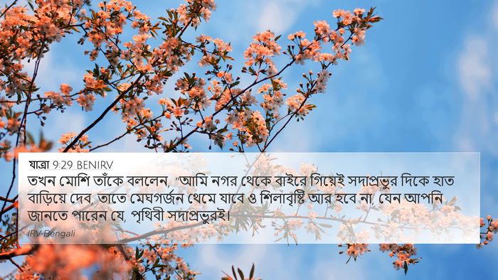 যাত্ৰা 9:29 BENIRV Bible Verse Image