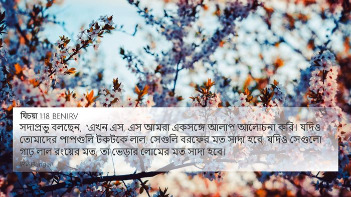 যিচয়া 1:18 BENIRV Bible Verse Image