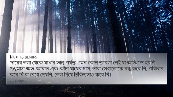 যিচয়া 1:6 BENIRV Bible Verse Image