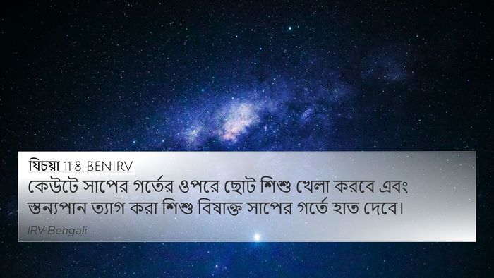 যিচয়া 11:8 BENIRV Bible Verse Image
