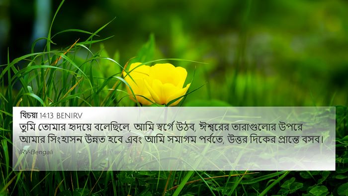 যিচয়া 14:13 BENIRV Bible Verse Image