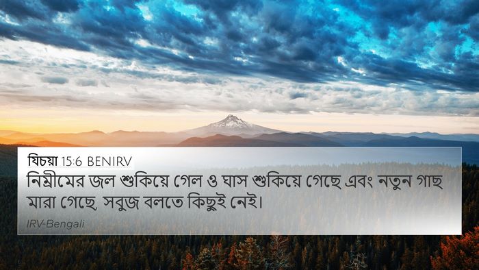 যিচয়া 15:6 BENIRV Bible Verse Image