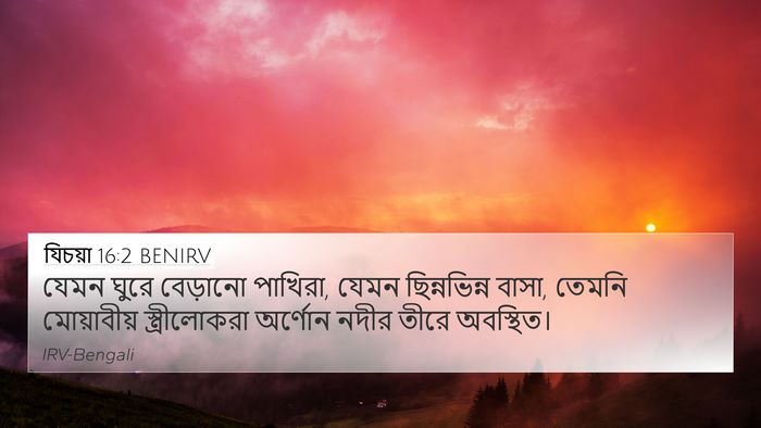 যিচয়া 16:2 BENIRV Bible Verse Image