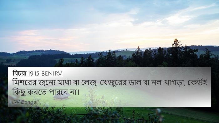 যিচয়া 19:15 BENIRV 4K Wallpaper - মিশরের জন্যে মাথা - 4K Wallpaper Bible Verse