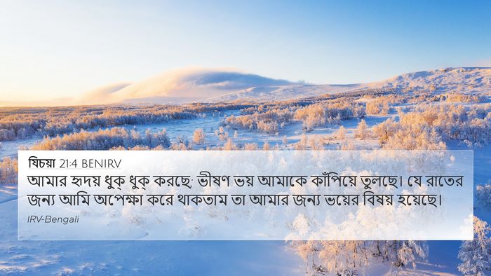 যিচয়া 21:4 BENIRV Bible Verse Image