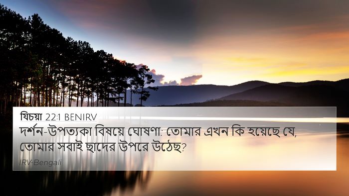 যিচয়া 22:1 BENIRV Bible Verse Image