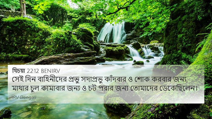 যিচয়া 22:12 BENIRV Bible Verse Image