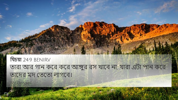 যিচয়া 24:9 BENIRV Bible Verse Image