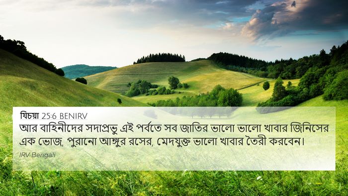 যিচয়া 25:6 BENIRV Bible Verse Image