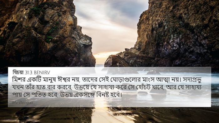 যিচয়া 31:3 BENIRV Bible Verse Image