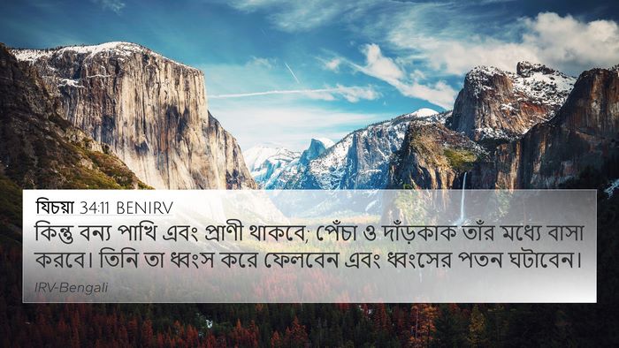 যিচয়া 34:11 BENIRV Bible Verse Image