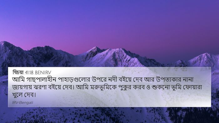 যিচয়া 41:18 BENIRV Bible Verse Image