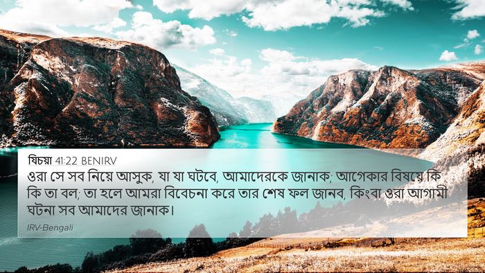 যিচয়া 41:22 BENIRV Bible Verse Image