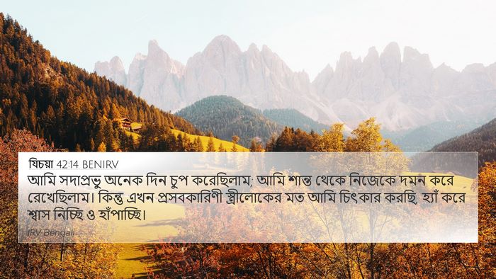 যিচয়া 42:14 BENIRV Bible Verse Image