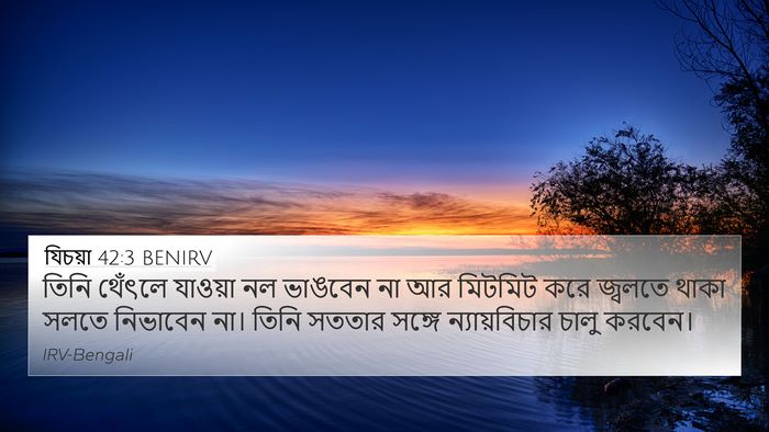 যিচয়া 42:3 BENIRV Bible Verse Image