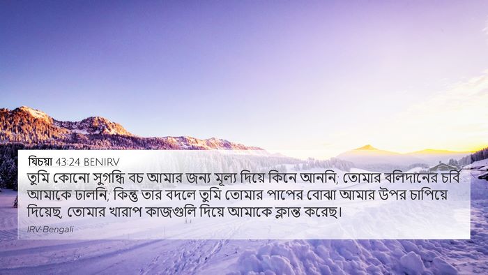 যিচয়া 43:24 BENIRV Bible Verse Image