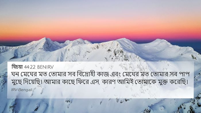 যিচয়া 44:22 BENIRV Bible Verse Image